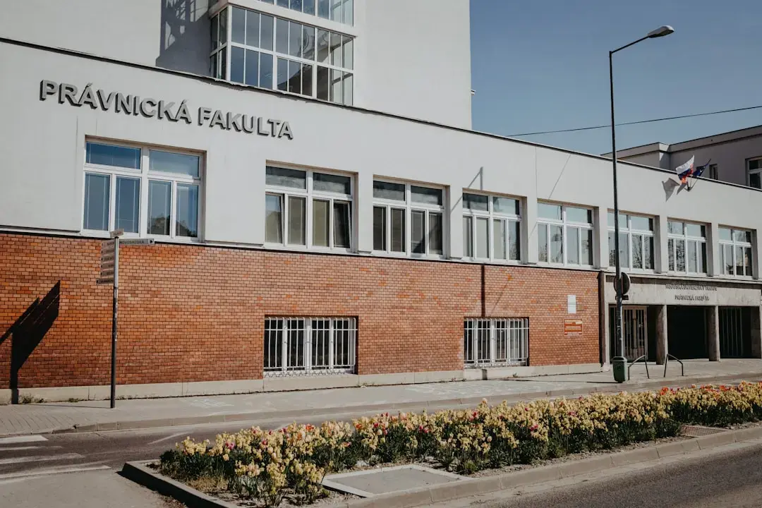 Fascinația cântăreților: dezvăluirea misterelor balanțelor