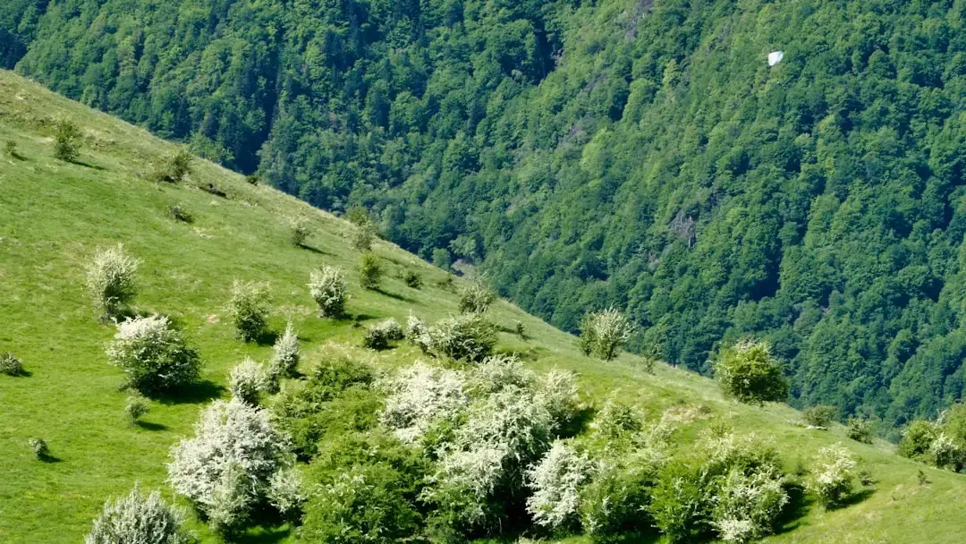 Horoscopul pentru marţi, 11 august 2026 – Previziuni și instrumente astrologice