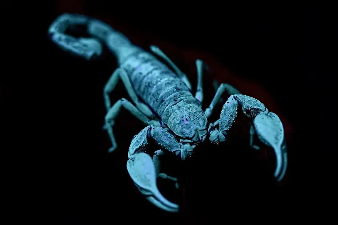 Horoscopul zilnic Scorpion pentru 22 august 2026