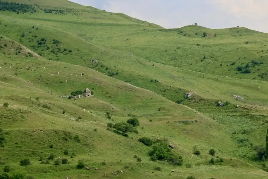 Născuți pe 24 mai: An plin de forță și direcție