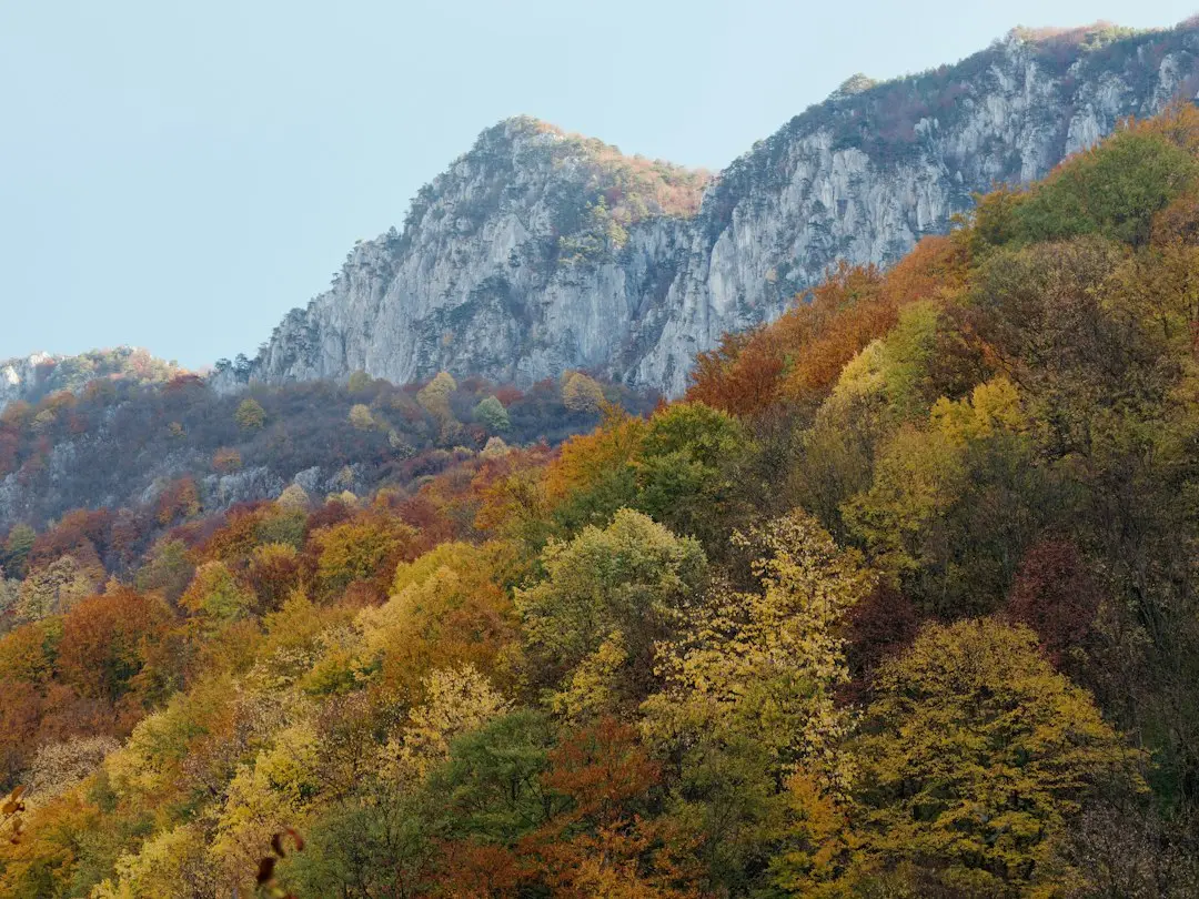Horoscop Leu – 26 septembrie 2026: Luna Plină aduce tensiuni în familie