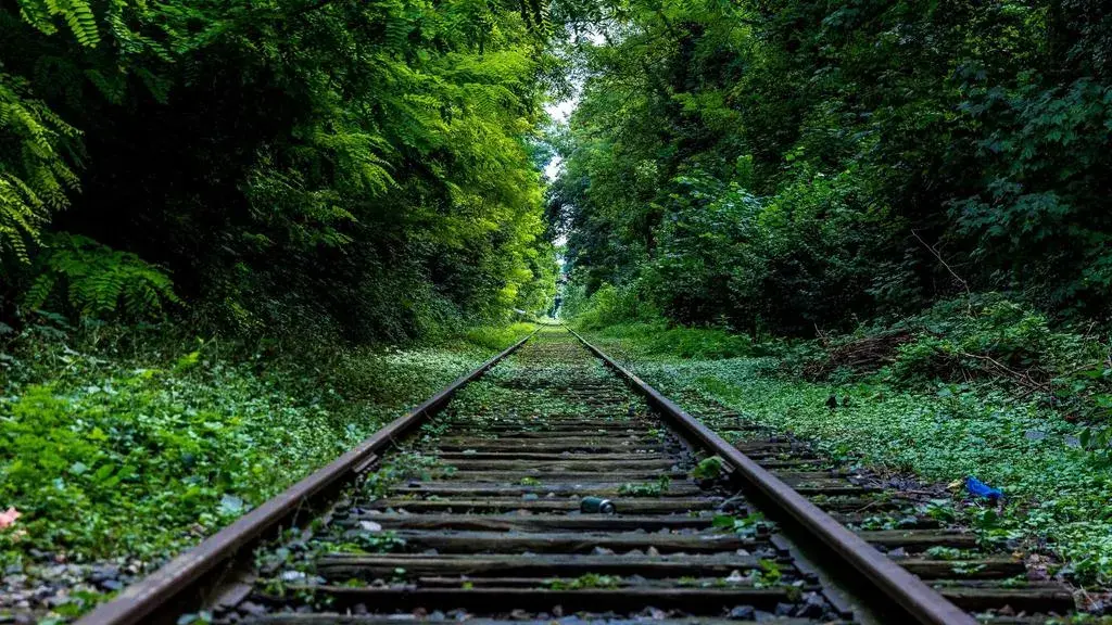 Soarele intră în casa bucuriei pe 23 septembrie 2026
