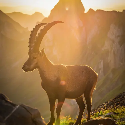 Horoscop zilnic 18 octombrie 2026: Luna în Capricorn și tensiunea dintre obligații